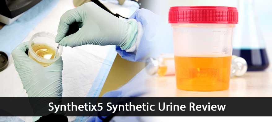 Synthetix5 Review: Is this the Right Product for You?