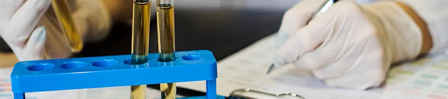 Test tubes with yellow liquids being examined